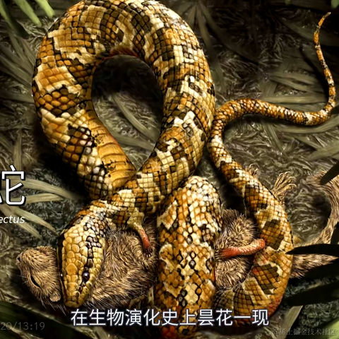 用户9983976123570于2023-06-27 09:34发布的图片