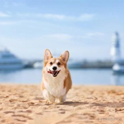 vue项目