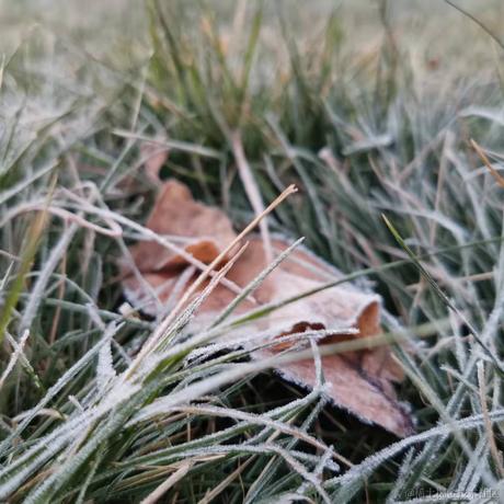 秋晓望山于2021-12-22 14:12发布的图片