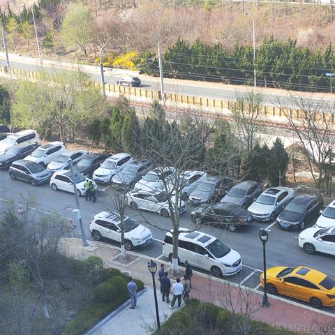 当代恶臭毕业生于2024-04-18 15:41发布的图片