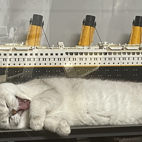 喵怼怼于2023-05-24 09:02发布的图片