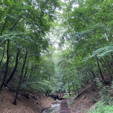 狗子君于2024-02-06 22:11发布的图片