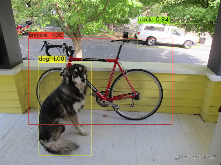 dog.jpg