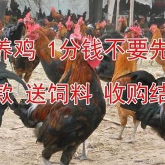 ikun_于2022-10-20 13:36发布的图片