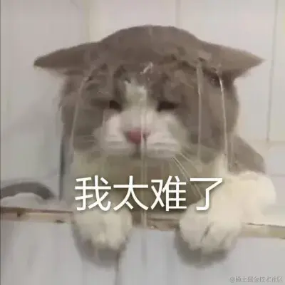 purple紫于2021-07-22 23:23发布的图片
