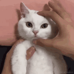 土圭垚墝于2022-08-12 12:34发布的图片