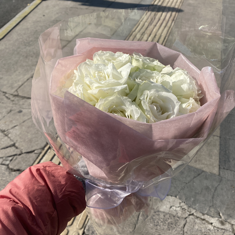 我是议员的爸爸于2022-12-02 10:39发布的图片