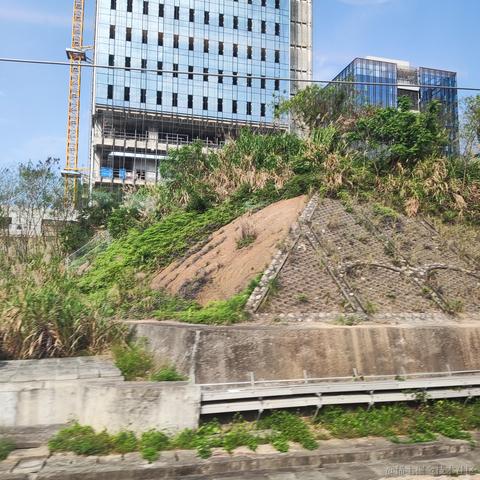 一顆于2023-04-28 17:10发布的图片