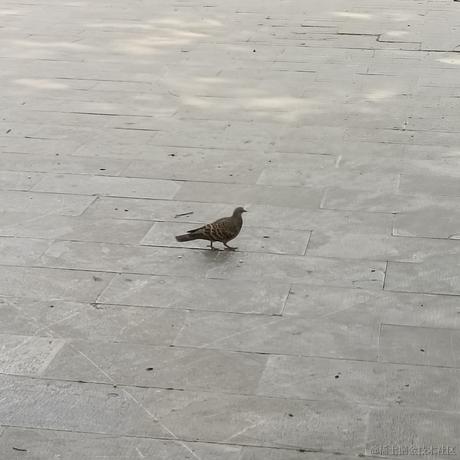 绝望鸭脖于2023-04-17 12:42发布的图片