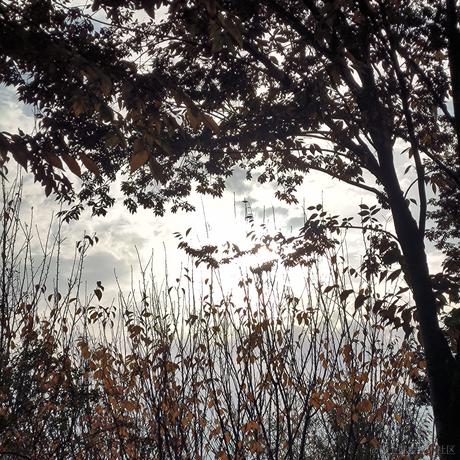 一支奶淇琳于2022-11-23 19:02发布的图片