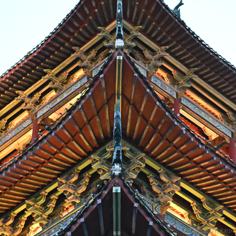 半夏1024于2023-05-09 09:39发布的图片