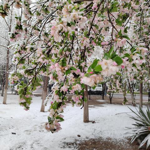 wumian233333于2023-03-28 11:07发布的图片