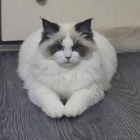 梦逸于2023-12-05 09:39发布的图片