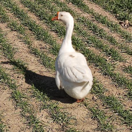 o优弧o于2023-01-24 23:18发布的图片