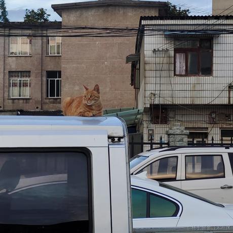 贝拉月光加冕于2022-11-21 18:36发布的图片