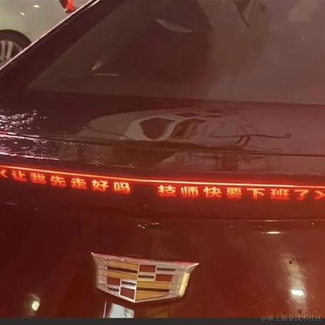 就想养只猫于2023-11-17 13:48发布的图片
