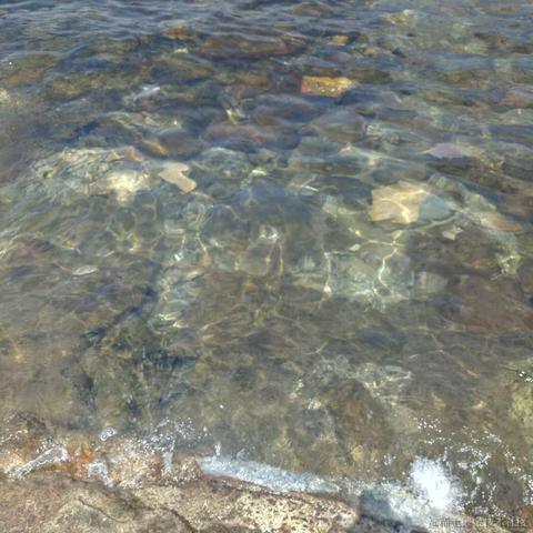 西西柚子木于2020-10-09 09:50发布的图片