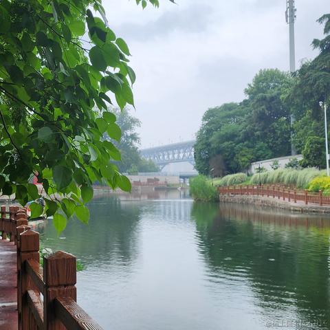 请出示绿码于2023-05-18 11:00发布的图片