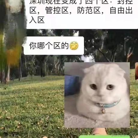 喀叽喀叽山的兔子于2022-02-25 17:53发布的图片