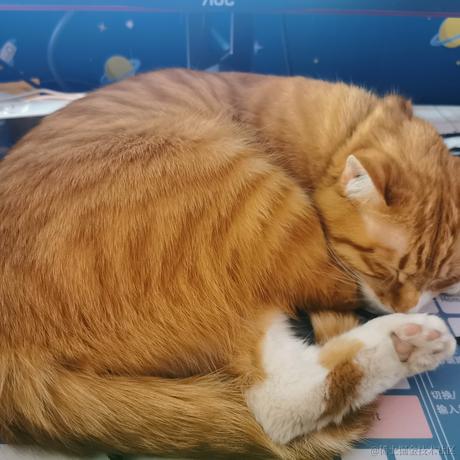 鲨脆脆脆于2023-06-04 19:30发布的图片