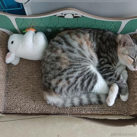 超级嘉贝于2023-07-01 14:00发布的图片