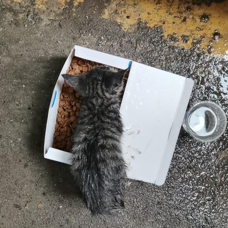 yeykira于2022-11-13 09:32发布的图片