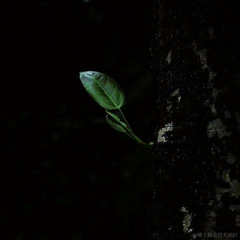 _一杯冰美式_于2023-03-01 14:42发布的图片