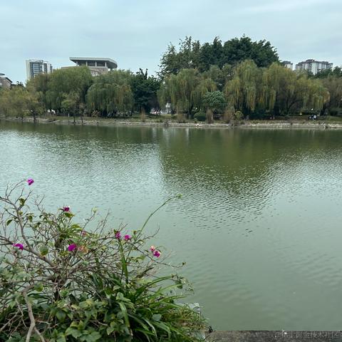 呜喵喵于2022-11-29 18:35发布的图片