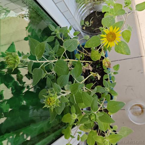 跑来跑去可没有打人爽于2023-09-27 13:27发布的图片