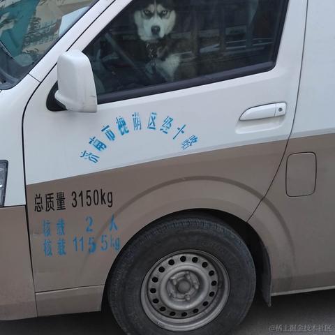 汤姆家的狗老鼠于2021-01-11 14:41发布的图片