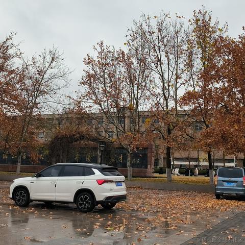 奶淇淋们有没有好好生活呢于2022-11-29 09:33发布的图片